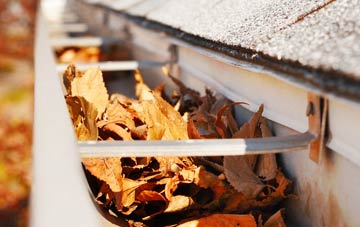 Dalfoil gutter cleaning companies