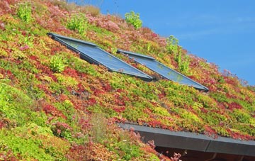 Dalfoil living roof systems
