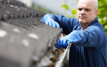 cleaning and inspecting Dalfoil roofs