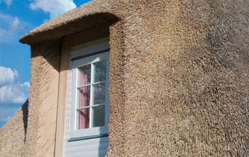 Dalfoil thatch roof disadvantages