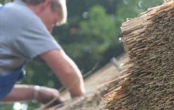 professional Dalfoil thatchers