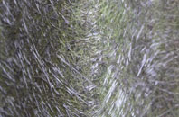 Dalfoil fibreglass roof work