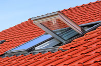 Dalfoil roof window